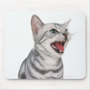 Mousepad Americano Shorthair 6
