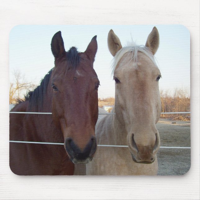 Mousepad Amigo - Amigo (Frente)