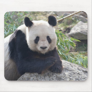 Mousepad Amigo Giant Panda