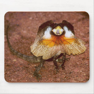Mousepad Amigo Lizard - Chlamydosaurus kingii