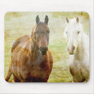 Mousepad Amigos de Cavalo