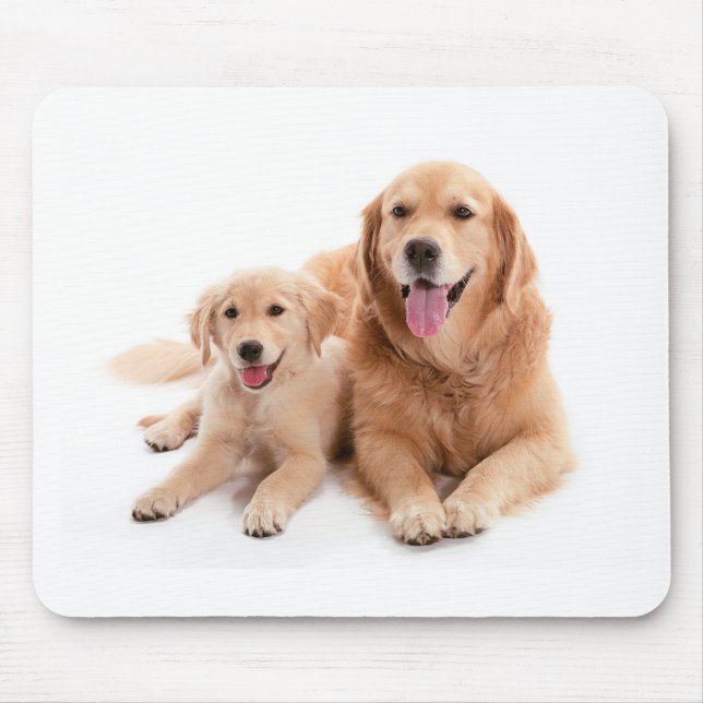 Mousepad Amigos do golden retriever (Frente)