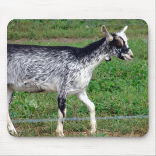 Mousepad Amish Goat