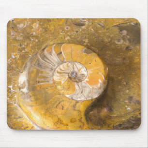 Mousepad Amonite e outros fósseis na fotografia da rocha