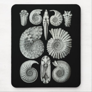 Mousepad Amonites