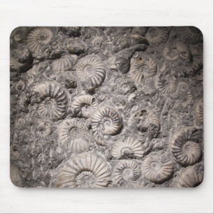 Mousepad Amonites