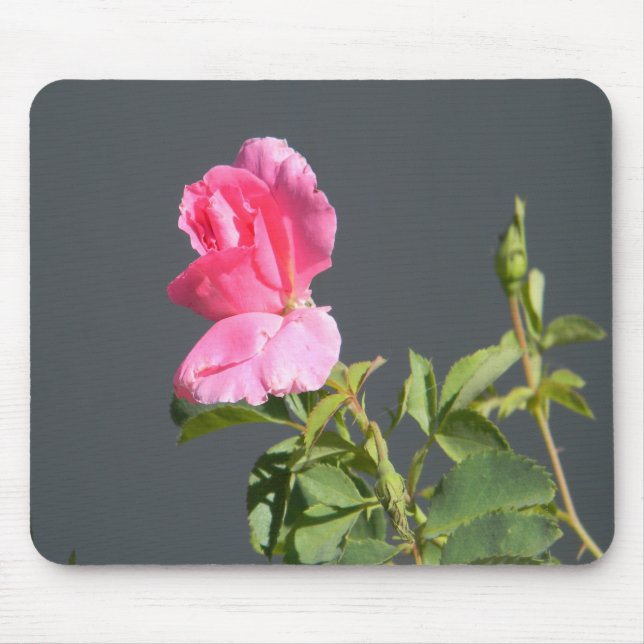 Mousepad Amor à Hora de Verão... (Frente)