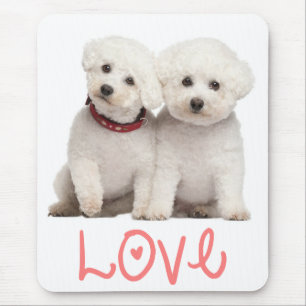 Mousepad Amor Bichon Frise Cão Cachorro Mocsepad