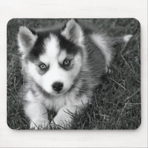Mousepad Amor Cabelo Irlandês Cachorro Mocinho