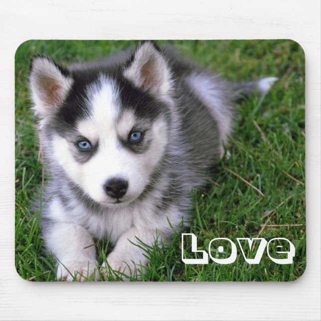 Mousepad Amor Cabelo Irlandês Cachorro Mocinho (Frente)