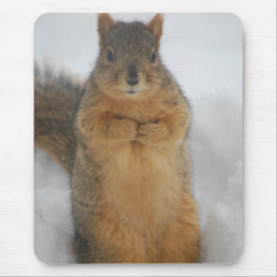 Mousepad Amor de Esquilo