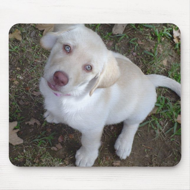 Mousepad Amor de filhote de cachorro (Frente)