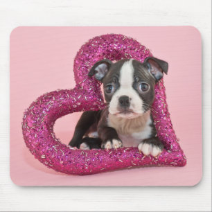 Mousepad Amor de filhote de cachorro das imagens de Getty