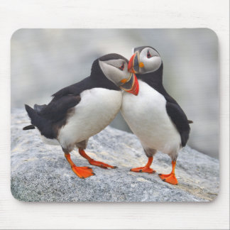 Mousepad Amor de Puffin no Atlântico