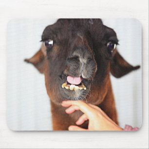 Mousepad Amor do lama