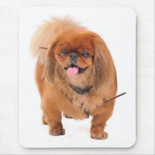 Mousepad Amor Por Pôster de Cachorro da Raça Pekingese em M
