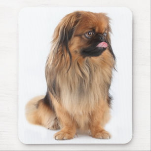 Mousepad Amor Por Pôster de Cachorro da Raça Pekingese em M