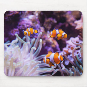 Mousepad Amphiprion Ocellaris de Ocellaris Clownfish