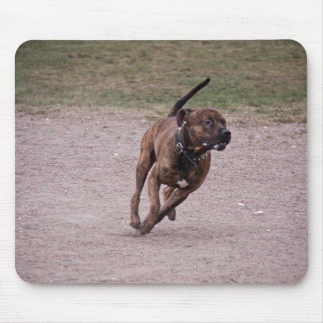 Mousepad Amstaff em execução (Frente)