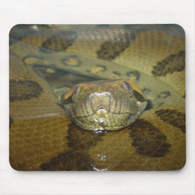Mousepad Anaconda verde (Frente)