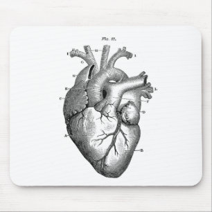 Mousepad Anatomia-Cardíaco-Imagens-Vintagem