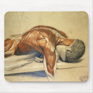 Mousepad Anatomia Charles Landseer do vintage um corpo