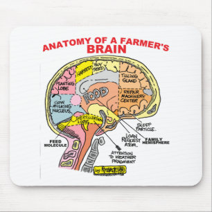 MOUSEPAD ANATOMIA DO CÉREBRO DE UM FAZENDEIRO