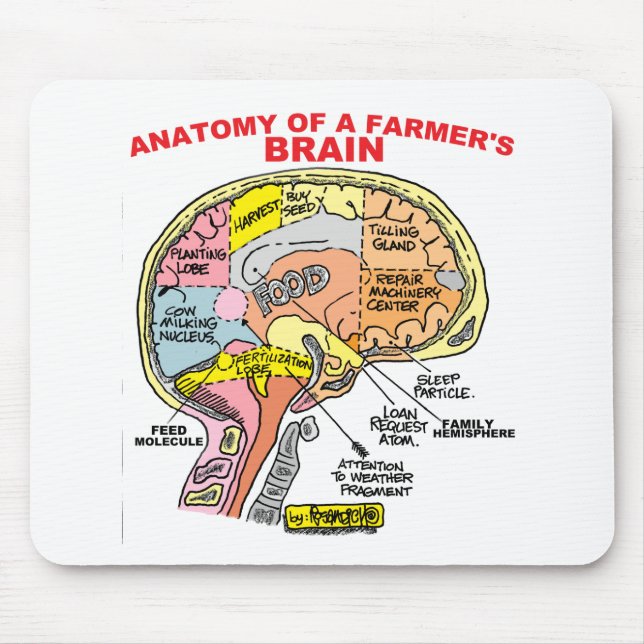 MOUSEPAD ANATOMIA DO CÉREBRO DE UM FAZENDEIRO (Frente)