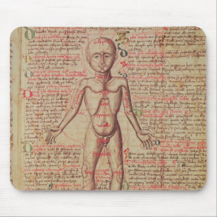 Mousepad Anatomia do corpo humano