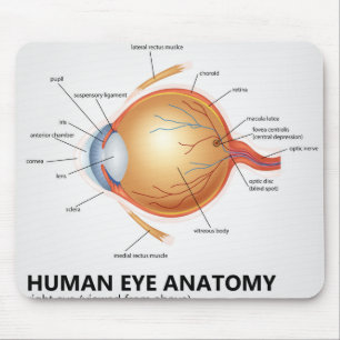 Mousepad Anatomia do olho humano do olho direito