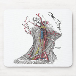 Mousepad Anatomia do pescoço