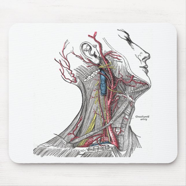 Mousepad Anatomia do pescoço (Frente)