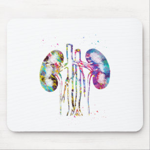 Mousepad Anatomia dos rins