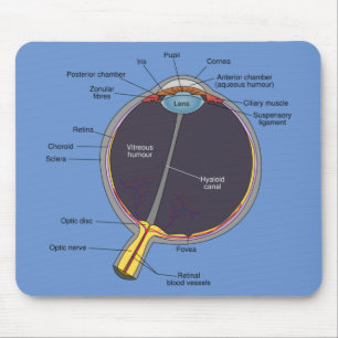 Mousepad Anatomia ocular