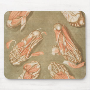 MOUSEPAD ANATOMIA PÉ ANATOMIA PÉ ANATOMIA OSSOS DE ANATOMIA