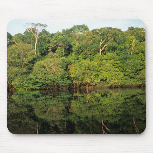 Mousepad Anavilhanas, Amazonas, Brasil. Rio da floresta tro (Frente)