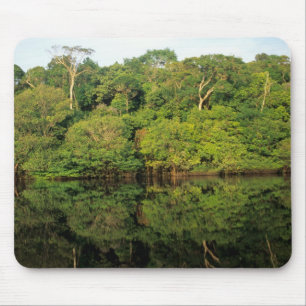 Mousepad Anavilhanas, Amazonas, Brasil. Rio Floresta