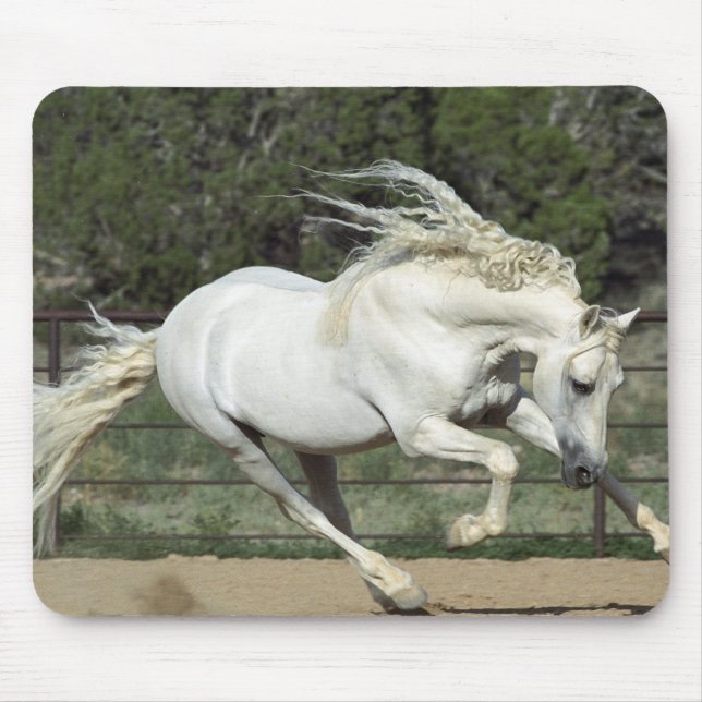 Mousepad Andaluz Stallion correndo, PR (Frente)