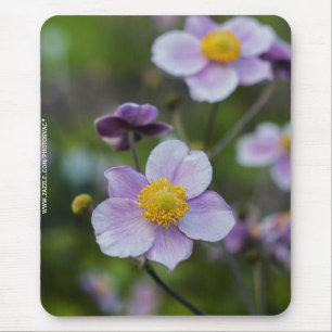 Mousepad Anêmona