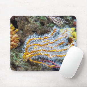Mousepad Anêmona Do Mar Em Uma Pedra