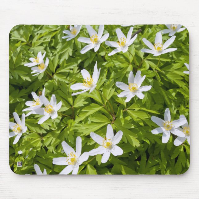 Mousepad Anêmona-dos-bosques (Frente)