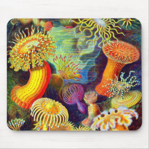 Mousepad Anêmonas de mar de Ernst Haeckel