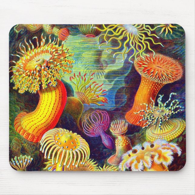 Mousepad Anêmonas de mar de Ernst Haeckel (Frente)