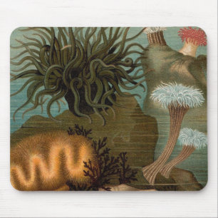 Mousepad Anêmonas impressão do século XIX
