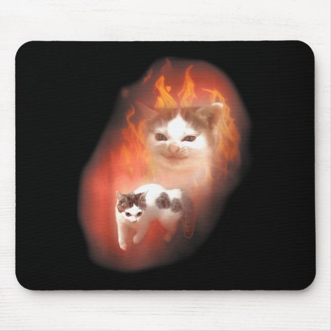 Mousepad Angry Cat Meme Funny Silly Cat Kitten Lover Humor  (Frente)