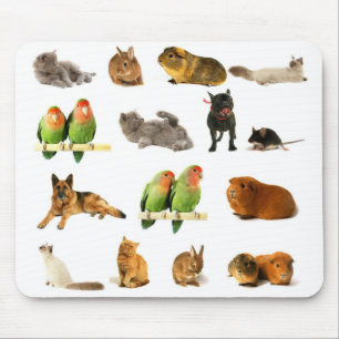 Mousepad animais