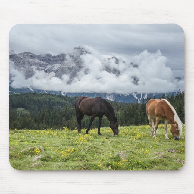 Mousepad Animais (Frente)
