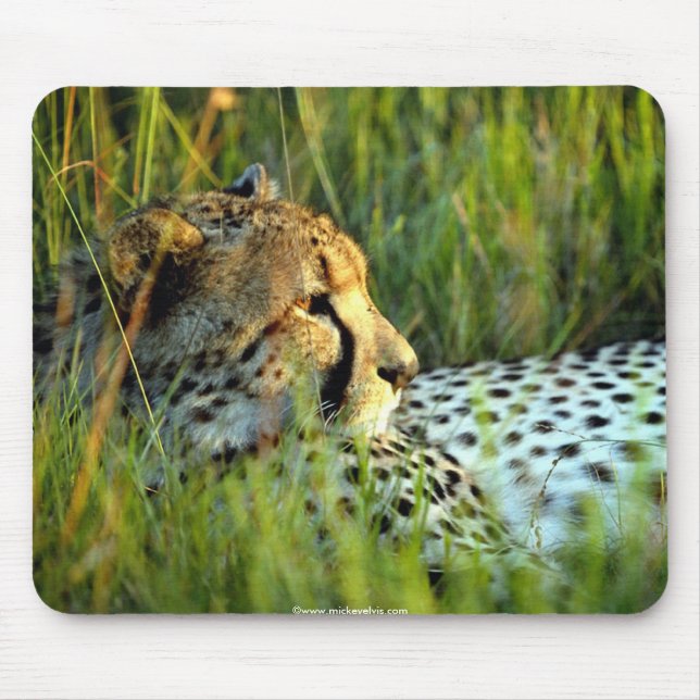 Mousepad Animais bonitos selvagens 112 (Frente)