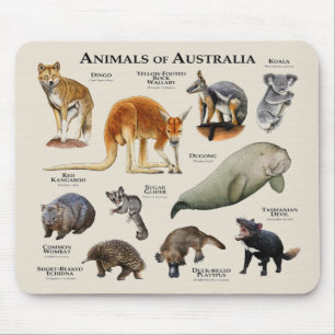 Mousepad Animais da Austrália