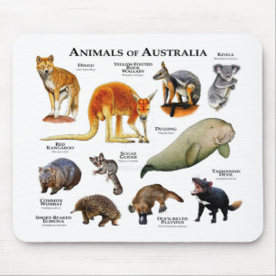 Mousepad Animais da Austrália